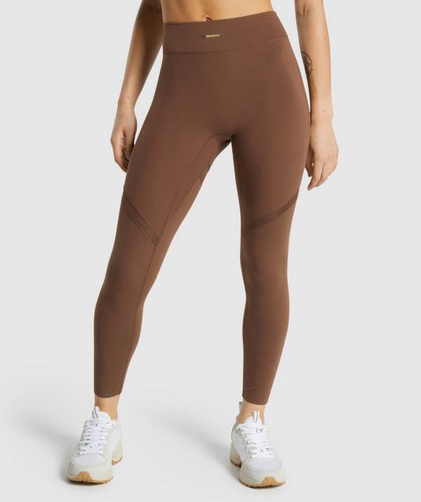 Damske Legíny Gymshark Whitney Mesh Hnede | GH4162738